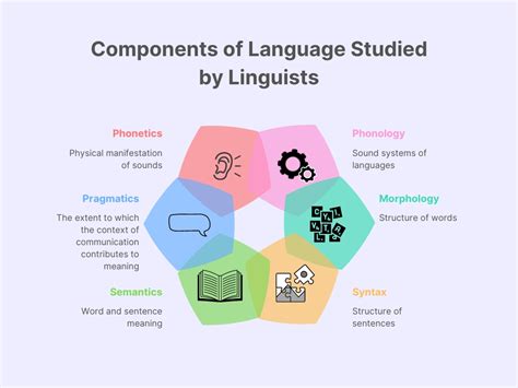 what is bussy|Linguists Explain the .